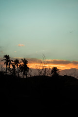 sunset with sky and Palm trees