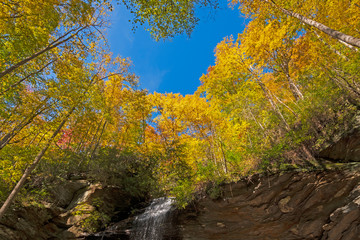 Fall Colors on the Cliff Top