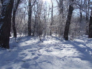 nature