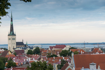 Fototapeta premium Tallinn Estonia beautiful view of the city, tiled roofs and the sea