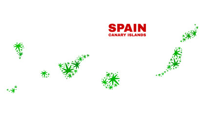 Vector cannabis Canary Islands map collage. Concept with green weed leaves for cannabis legalize campaign. Vector Canary Islands map is constructed with weed leaves.