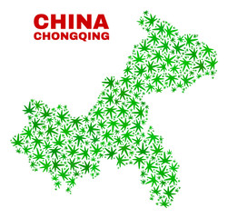 Vector cannabis Chongqing City map mosaic. Template with green weed leaves for cannabis legalize campaign. Vector Chongqing City map is created with cannabis leaves.