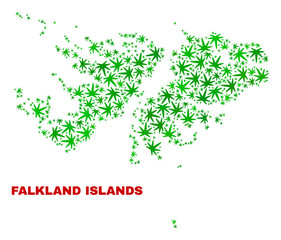 Vector marijuana Falkland Islands map mosaic. Template with green weed leaves for hemp legalize campaign. Vector Falkland Islands map is constructed with weed leaves.