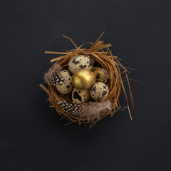 Naklejka na ściany i meble Easter nest with quail eggs