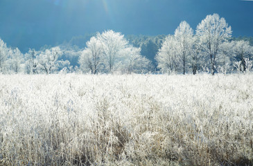 Snow on the fields and buildings of Cades Cove.