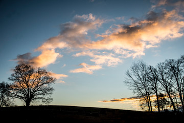 Fototapeta na wymiar A morning cloud comes creeping toward an old tree silhouette.