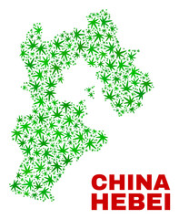 Vector cannabis Hebei Province map mosaic. Template with green weed leaves for cannabis legalize campaign. Vector Hebei Province map is constructed with weed leaves.