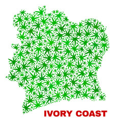 Vector marijuana Ivory Coast map collage. Template with green weed leaves for weed legalize campaign. Vector Ivory Coast map is organized with marijuana leaves.