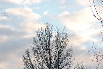 winter sonnen wände