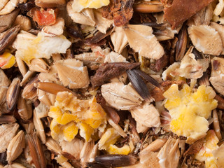 professional sportive horse  muesli  with black oats. macro shot.