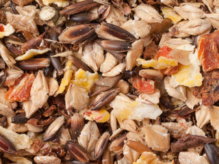 professional sportive horse  muesli  with black oats. macro shot.