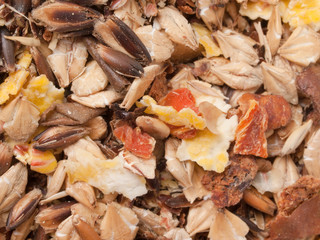 professional sportive horse  muesli  with black oats. macro shot.