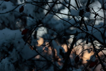 winter sonnen wände