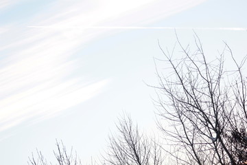 winter sonnen wände