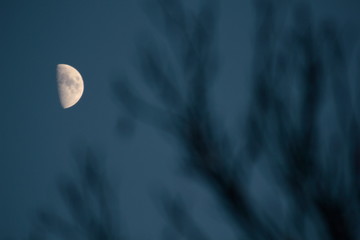 tausend und eine nacht