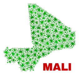 Vector marijuana Mali map mosaic. Template with green weed leaves for weed legalize campaign. Vector Mali map is organized with marijuana leaves.