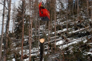 forstseilbahn