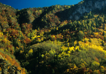Terlan (Prov. Bozen), herbstliche Berghänge, Herbstfarben