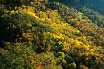 Terlan (Prov. Bozen), herbstliche Berghänge, Herbstfarben