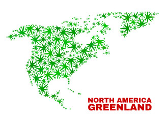 Vector cannabis North America and Greenland map collage. Template with green weed leaves for cannabis legalize campaign. Vector North America and Greenland map is constructed with cannabis leaves.