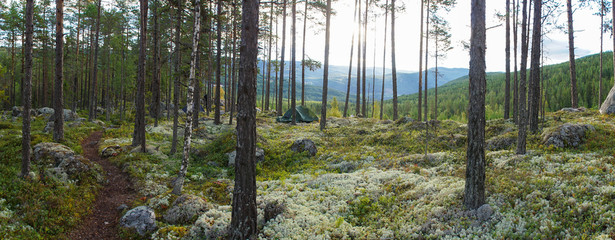 Wildcamping in the forest of Gardnos crater in Meteorite Park near Nesbyen, Norway.