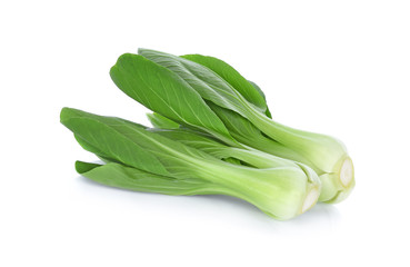 Bok choy (chinese cabbage) isolated on white