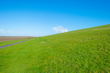 Green dike in a rural landscape below a blue sky in sunlight in winter