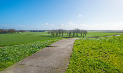 Fototapeta na wymiar Path on a green dike in the countryside in sunlight in winter