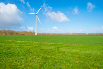 Fototapeta premium Wind turbine in a green field below a blue cloudy sky in winter