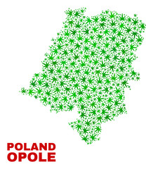 Vector marijuana Opole Voivodeship map mosaic. Concept with green weed leaves for weed legalize campaign. Vector Opole Voivodeship map is created with marijuana leaves.