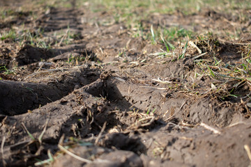 a tractor track in the dirt
