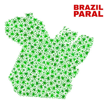 Vector marijuana Paral State map mosaic. Template with green weed leaves for weed legalize campaign. Vector Paral State map is designed with herbal leaves.