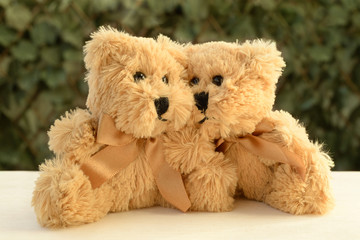 Two Teddy bears cuddling