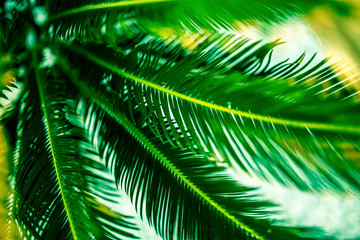 tausend und eine nacht im orient