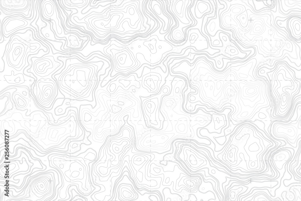 Wall mural abstract blank detailed topographic contour map subtle white vector background. topographic cartogra - Wall murals