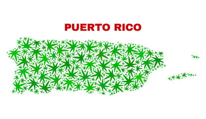 Vector cannabis Puerto Rico map mosaic. Concept with green weed leaves for cannabis legalize campaign. Vector Puerto Rico map is formed with weed leaves.