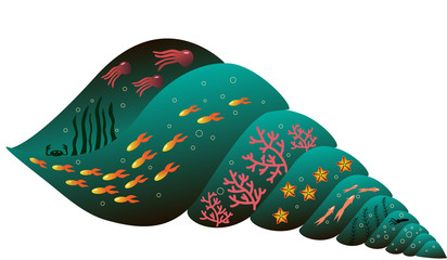seashell isolated vector symbol. Fish and sea animals
