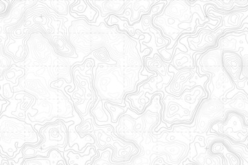Abstract Blank Detailed Topographic Contour Map Subtle White Vector Background. Topographic Cartography. Topographic Map. Topographic Relief. Topography Map. Topography Relief 