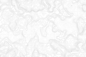 Abstract Blank Detailed Topographic Contour Map Subtle White Vector Background. Topographic Cartography. Topographic Map. Topographic Relief. Topography Map. Topography Relief  - obrazy, fototapety, plakaty