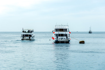several white yachts are in the blue sea