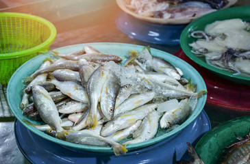Fresh fish in ice bucket for sale in the seafood market / sea fish yellow tail