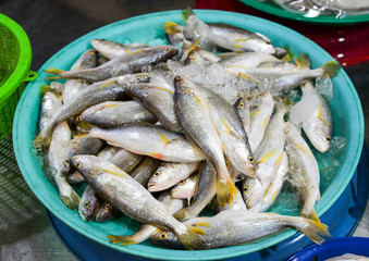 Fresh fish in ice bucket for sale in the seafood market / sea fish yellow tail