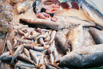 Fresh fish in ice bucket for sale in the seafood market