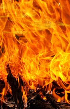 Du feu en gros plan