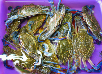 Fresh crab in ice bucket for sale in the seafood market