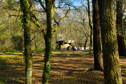 Dolmen de Axeitos, Galicia. En el bosque.