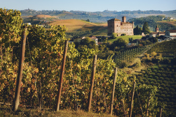 Sunset in autumn, during harvest time, at the castle of Grinzane Cavour, surrounded by the vineyards of Langhe, the most importan wine district of Italy and Unesco Heritage for its landscape