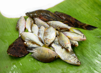 fresh small fish various types with fish goby siamese mud carp on banana leaf