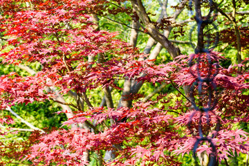 Kommunikations gestalten 