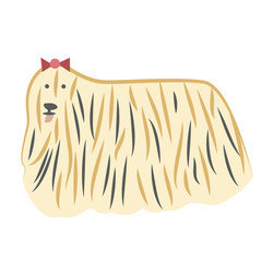 Lap-dog flat illustration